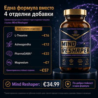 Mind Reshaper 2