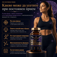 Mind Reshaper 6