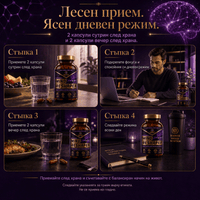 Mind Reshaper 4
