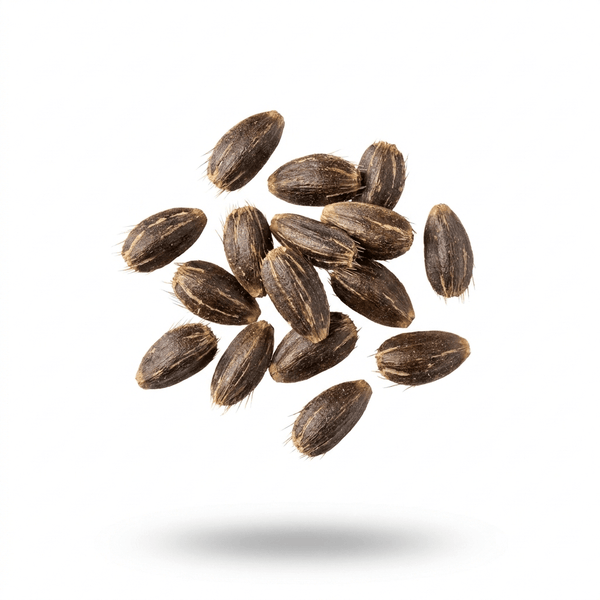 Milk Thistle Seed Extract